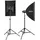 walimex pro Newcomer 300 II Studioblitz Set Double (Set, 300 Ws), Blitzleistung, auslösen per Funk 2,4GHz, LED-Einstelllicht, Blitzdauer 1/800-1/1200s, Bowens/walimex pro-Anschluss, ideal für kleine Studios