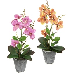 Kunstpflanze I.GE.A. "Orchidee" Kunstpflanzen Gr. B/H/L: 19 cm x 40 cm x 40 cm, 2 St., bunt (rosa, orange) Kunstpflanzen Mit Blättern und Luftwurzeln, im Topf aus Keramik, 2er Set