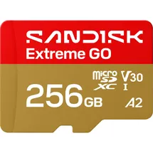 SanDisk Extreme GO 256 GB SDSQXGN-256G-GN6MN