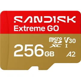 SanDisk Extreme GO 256 GB SDSQXGN-256G-GN6MN