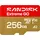 SanDisk Extreme GO 256 GB SDSQXGN-256G-GN6MN