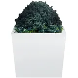 LED Blumentopf | 400x400mm | RGB | Akku | LED Blumenkübel, Beleuchtete Pflanzkübel, LED Pflanzkübel