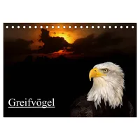 Calvendo Greifvögel (Tischkalender 2026 DIN A5 quer), CALVENDO Monatskalender: