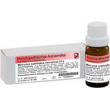 Dr.RECKEWEG & Co. GmbH Mercurius sublimatus corrosivus D12