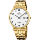 Festina Classics F20513/1