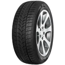 Tristar Snowpower UHP 225/50 R17 98V