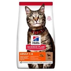 Hill's Science Plan Adult Lamm & Reis 3 kg