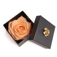 ROSEMARIE SCHULZ Heidelberg Ewige Rose Peachau haltbar 3 Jahre in Box Rose konserviert (Peach, 1 Rose)