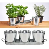 Hi Haushalt International Kräutertopf Kräutertöpfe Set bestehend aus 3 Töpfen und Untersetzer 16138