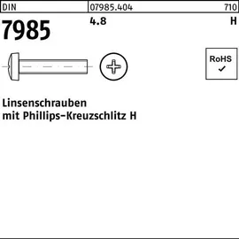 F. REYHER Nchfg. GmbH & Co. KG Linsenschraube DIN 7985 PH M6 x 25 500 Stück