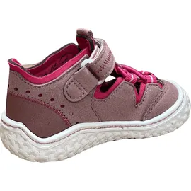 Pepino Jerry Rosa 20