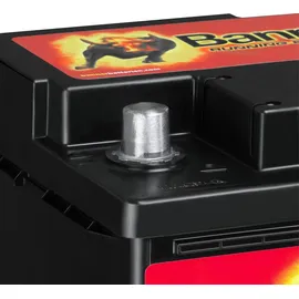 Banner Running Bull AGM 95Ah 12V