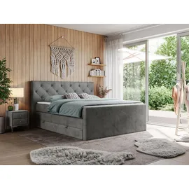 MKS boxspringbett KING VELEN 160/200 Dunkelgrau Velvet - H3
