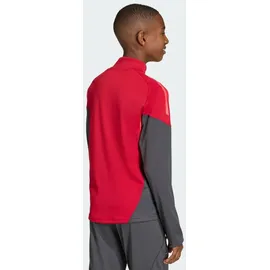 adidas FC Liverpool Sweatshirt 2025/26 rot Kinder Gr. 164