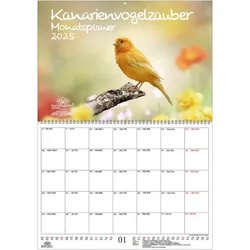 Seelenzauber Wandkalender Kanarienvogelzauber Wand- Planer Kalender 2025 DIN A2 Kanarienvögel weiß