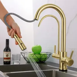 REA ECO FRESH Spültischarmatur Gold