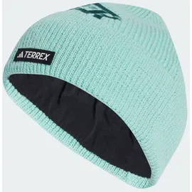 adidas Terrex DSV TRX Multi Mütze semi flash aqua (AEXY) Adult (M/L)