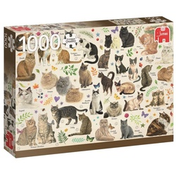 Jumbo Spiele Puzzle Jumbo 18595 Katzenposter 1000 Teile Puzzle, Puzzleteile bunt