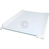 Electrolux Glasplatte 2251639205 460x300mm
