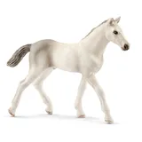 schleich 17079 Holsteiner Fohlen, ab 5 Jahren, Horse Club - Spielfigur, 2 x 10 x 8 cm