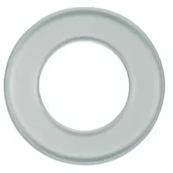 Berker Glasplatte 1091