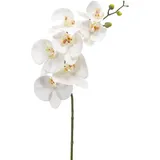 Künstliche Orchidee - Chen Lu | 86 cm