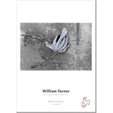 Hahnemühle William Turner Fotopapier matt weiß, A2, 310g/m2, 25 Blatt (10 641 644)