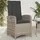 vidaXL Gartensessel mit Kissen 2 Stk. Verstellbar Grau Poly Rattan