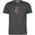 Icebreaker Merino 150 Tech Lite Bear Catch grau XL