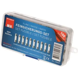 Max Hauri 128449 Feinsicherung-Sortiment (Ø x L) 5mm x 20mm Flink -F- Inhalt 100St.