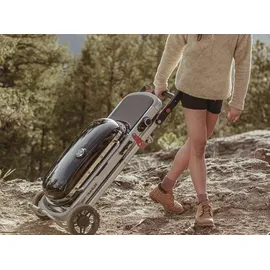 Weber Traveler
