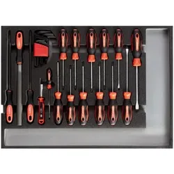 R22350002 Werkzeugsatz Schraubendreher + Feilen CT-Modul 26-teilig - rot
