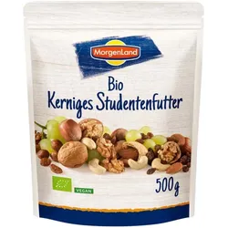 MorgenLand Kerniges Studentenfutter bio 500g