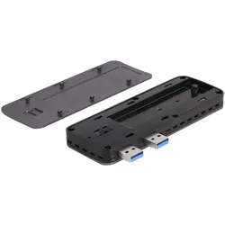 Delock Speichergehäuse - M.2 - NVMe PCIe - PCIe, SATA, USB 3.2 (Gen 2)