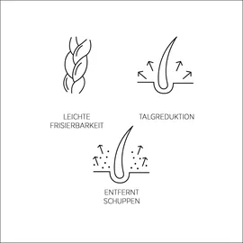 System Professional Derma P1 Purify 250 ml