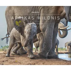 Hautnah - Afrikas Wildnis - Kalender 2026