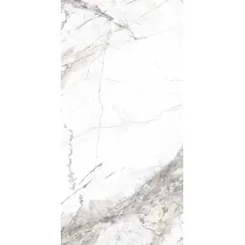 Euro Stone Bodenfliese Feinsteinzeug Caldera Silber 60 x 120 cm