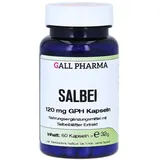 Hecht Pharma Salbei 120 mg GPH Kapseln