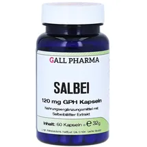 Hecht Pharma Salbei 120 mg GPH Kapseln
