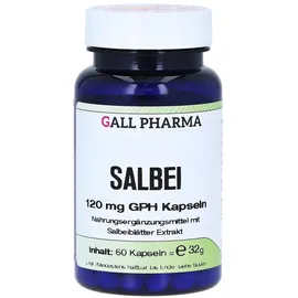Hecht Pharma Salbei 120 mg GPH Kapseln