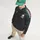adidas Mexiko Ausweichtrikot Authentic 2026 Herren Gr. L