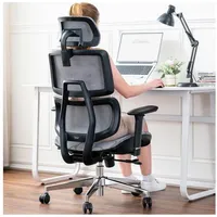 Luxuskollektion Ergonomischer Netz Bürostuhl Lendenwirbelstütze Schwarz