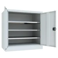 Stier Flügeltürenschrank Zink 1000x1000x600 mm RAL 7035