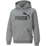 Puma Jungen Pullover, ESS Big Logo Hoodie - Schwarz,Grau - 104