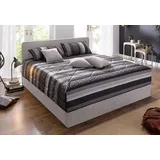 Westfalia Schlafkomfort Polsterbett 140 x 200 cm hellgrau