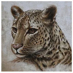 Leinwandbild - Motiv: Gepard - 100 x 100cm