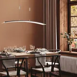 Fischer & Honsel Metis LED Pendelleuchte mit CCT, 60554,