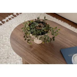 Skye Decor Sable Braun Nussbaum 119 x 60 x 39,8 cm