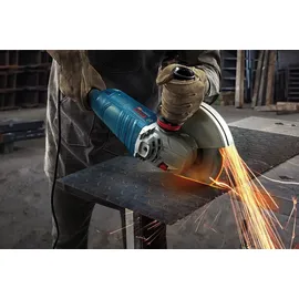 Bosch GWS 24-230 P Professional