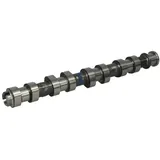 Kolbenschmidt Nockenwelle 50006152